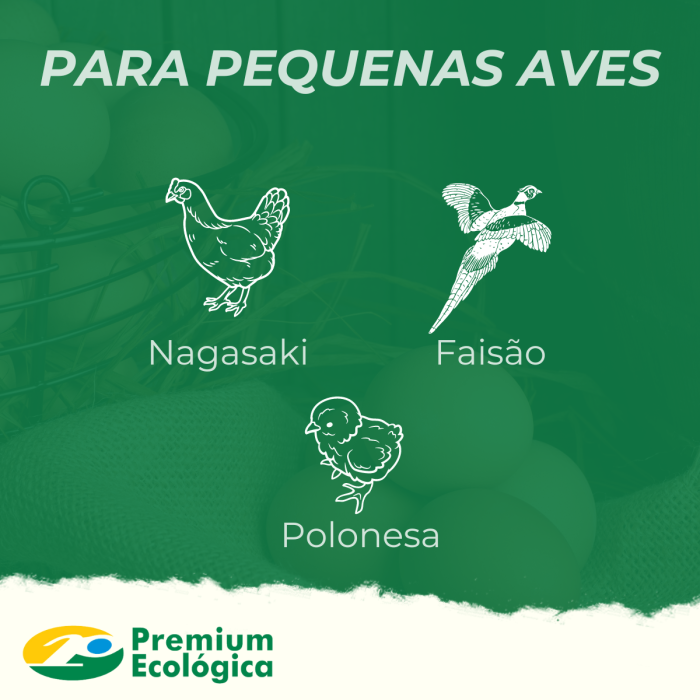 Criadeira Nagasaki (aves e galinhas de pequeno porte)