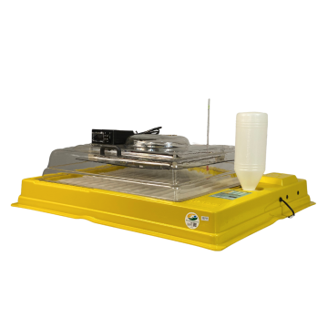 Chocadeira IP 100  (100 Ovos) controle digital de temperatura