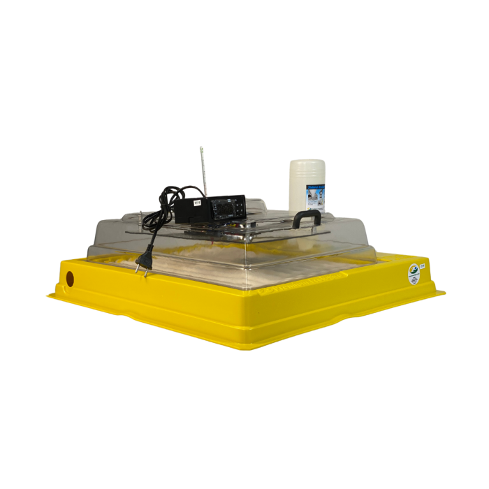 Chocadeira Hobby 70  (70 Ovos) controle digital de temperatura