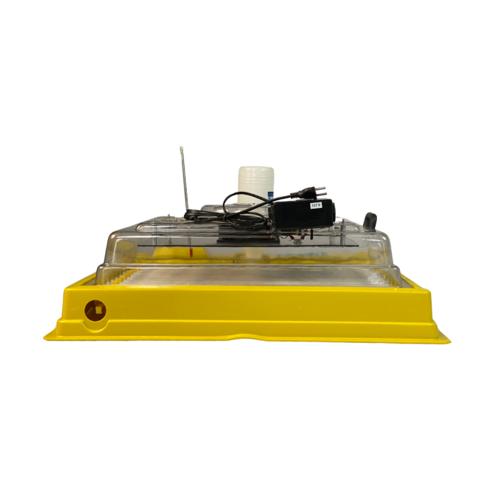 Chocadeira Hobby 70  (70 Ovos) controle digital de temperatura