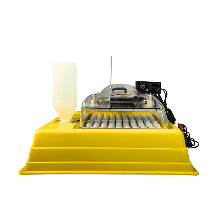 Chocadeira Para Pássaros IP 35P  com controle digital de temperatura e umidade
