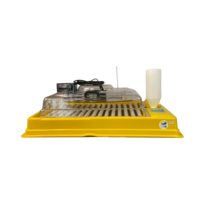Chocadeira IP 100  (100 Ovos) controle digital de temperatura