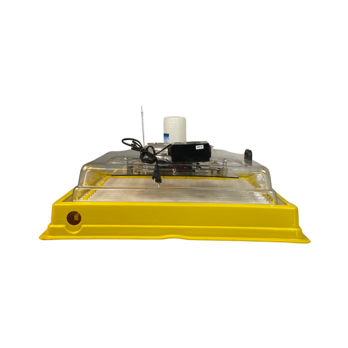 Chocadeira IP 100  (100 Ovos) controle digital de temperatura