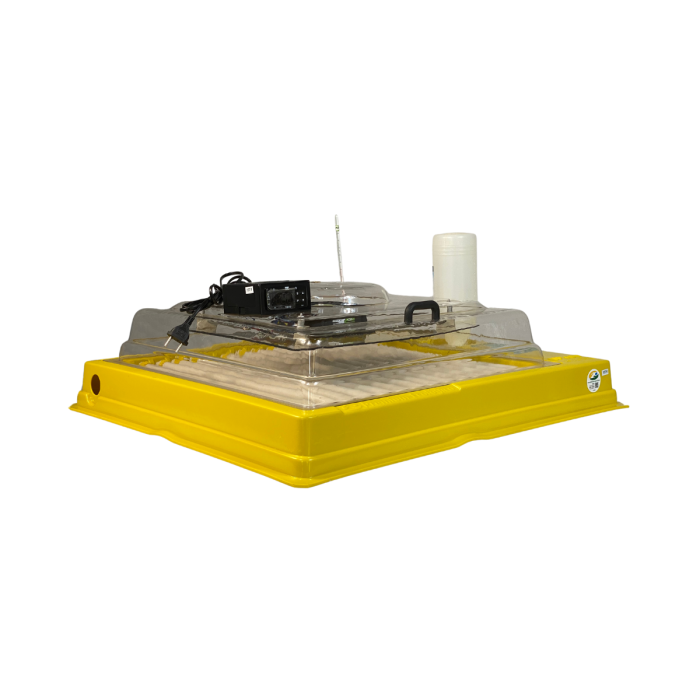 Chocadeira IP 100  (100 Ovos) controle digital de temperatura