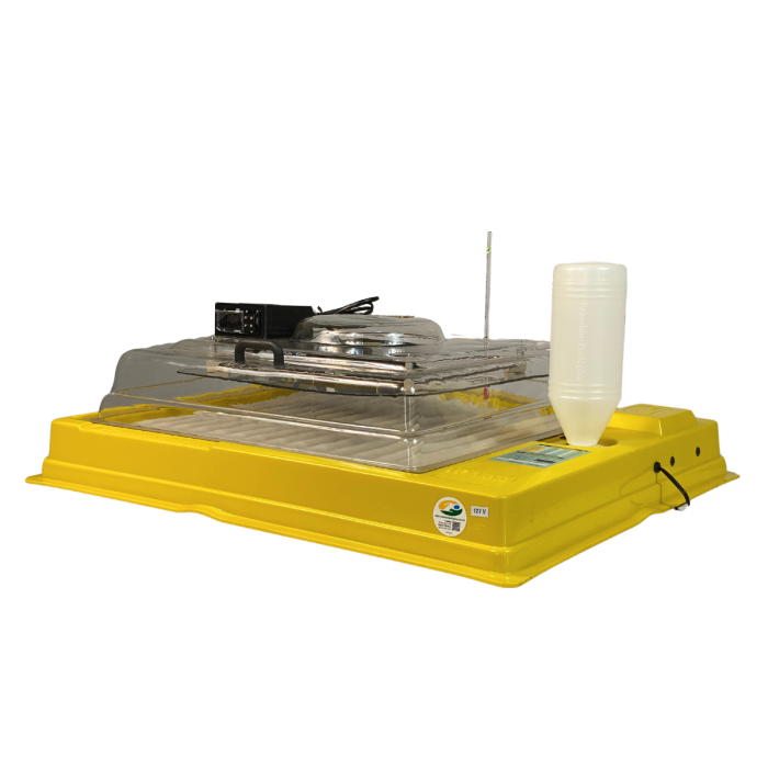 Chocadeira IP 100  (100 Ovos) controle digital de temperatura