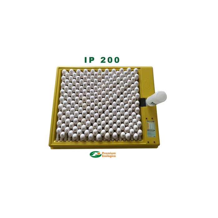 Chocadeira IP 200 (200 Ovos) Controle Digital de temperatura