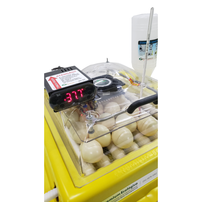 Chocadeira IP 35 controle digital de temperatura (Não atende pássaros) 